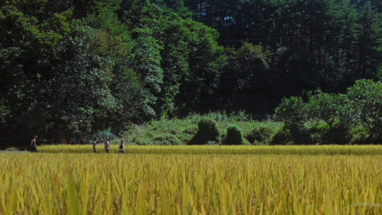 Riceboy Sleeps (2022) movie still: wide — A vast field of golden rice plants sits before a dense wall of trees. Four figures walk in a single file…