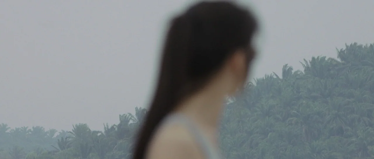 Blackhat (2015) movie still: closeup — A dense, green-covered hillside rises in the background under a grey, overcast sky. A person with dark hair…