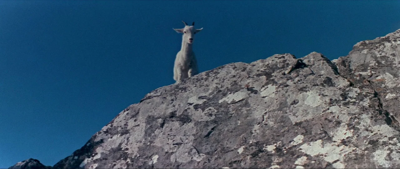 Through Fire, Water and… Brass Pipes (1968) movie still: wide — A white goat stands atop a weathered granite outcropping against a clear blue sky.…