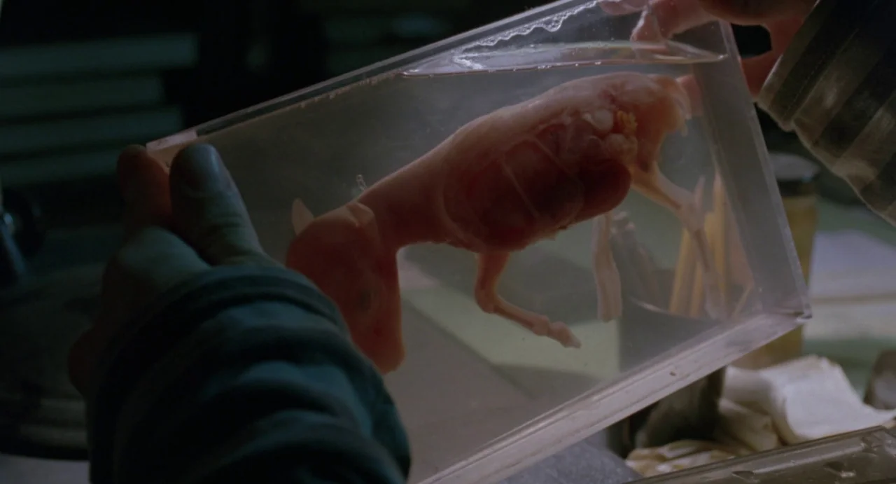 House of Wax (2005) movie still: closeup — Two hands hold a rectangular clear plastic container filled with fluid and a specimen. The object…