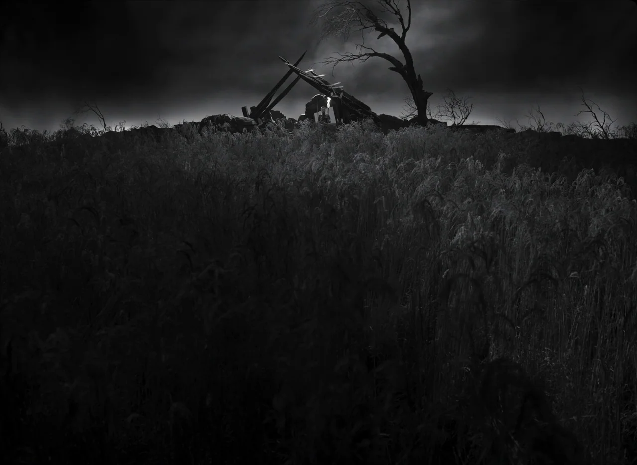 The Tragedy of Macbeth (2021) movie still: wide — A dark, expansive field contains a skeletal tree and the remains of a wooden structure. A single…