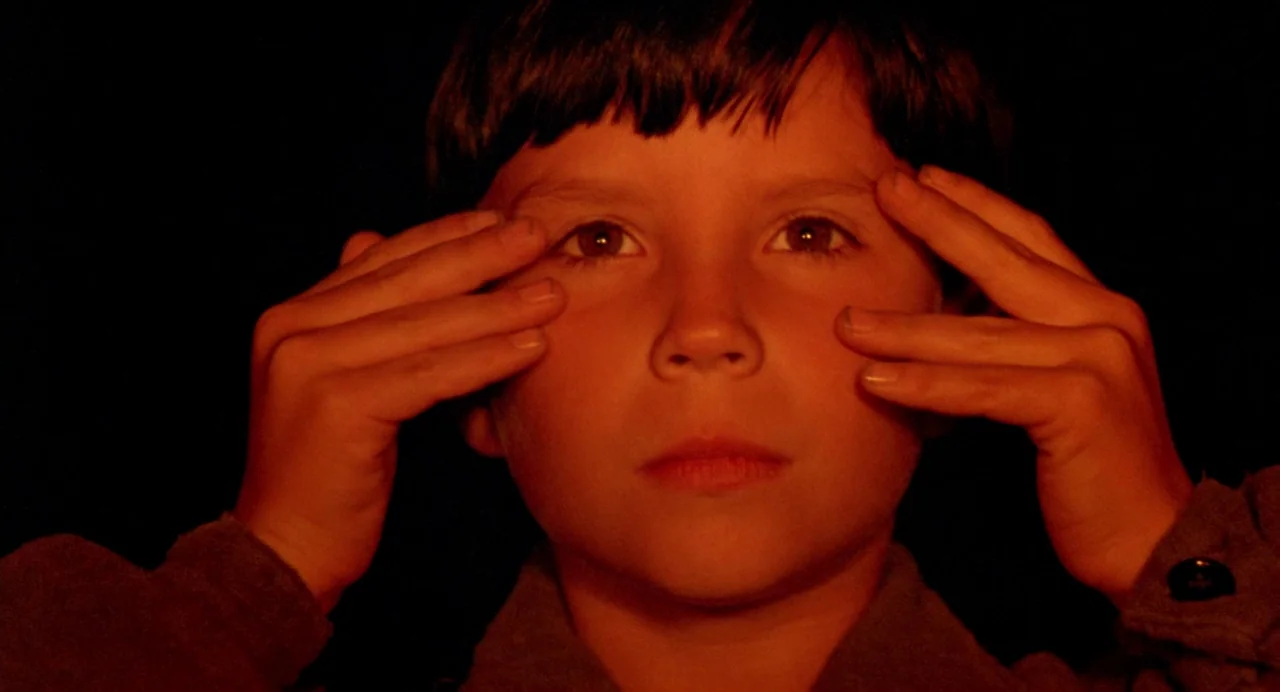 The Reflecting Skin (1990) movie still: closeup — A young boy's face is illuminated by a singular warm light source against blackness. He rests both…