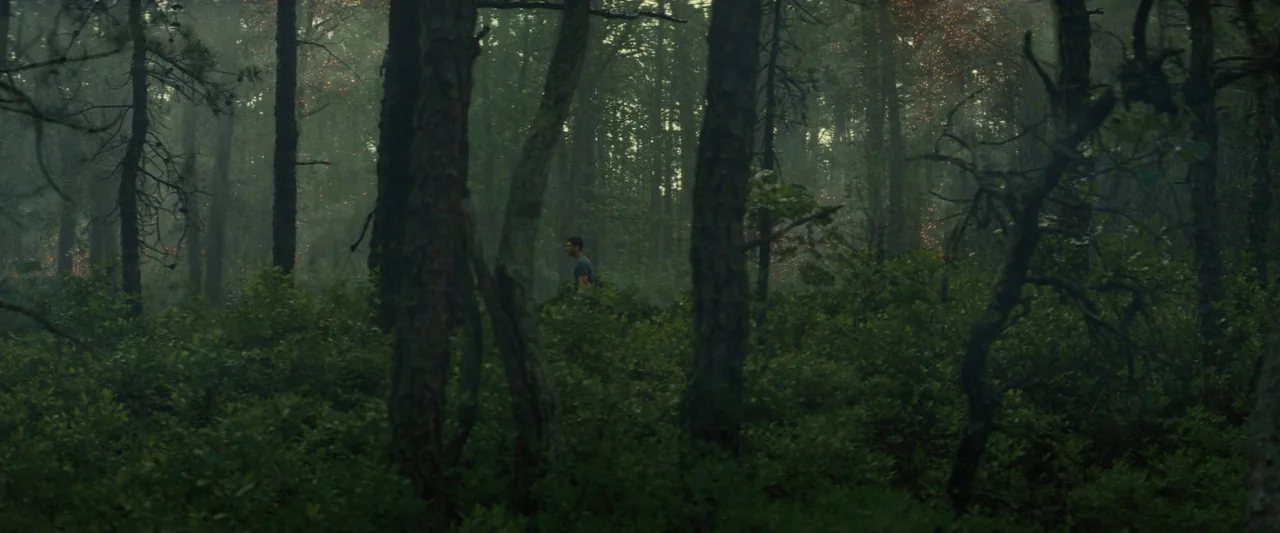 Knock at the Cabin (2023) movie still: wide — A dense woodland environment with tall trees and thick undergrowth covered in low fog. A young man…