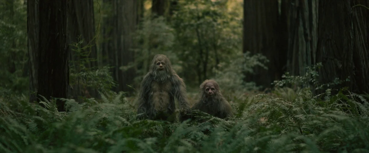 Sasquatch Sunset (2024) movie still: medium — A dense redwood forest floor is covered in thick ferns and towering dark trunks. Two sasquatch-like…