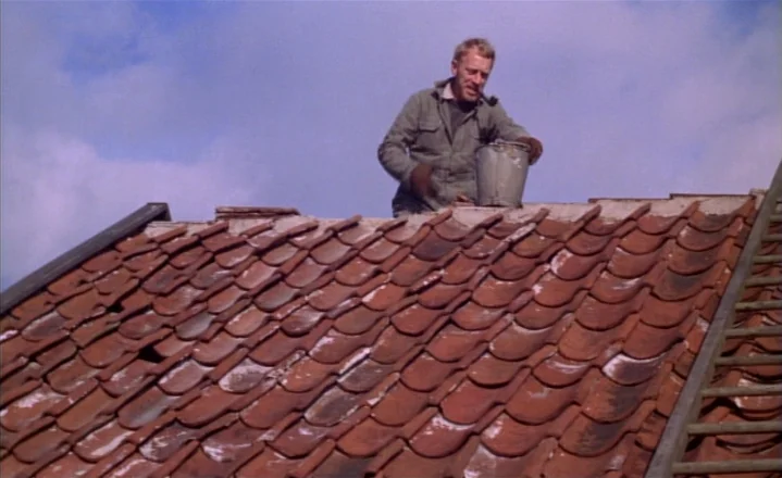 The Passion of Anna (1969) movie still: fullbody — A man stands atop a sloped roof covered with aged, weathered terracotta tiles. He is holding a…