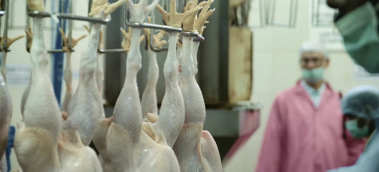 10 Billion: What's On Your Plate (2015) movie still: medium — A sterile industrial processing facility features metal equipment and suspended raw…