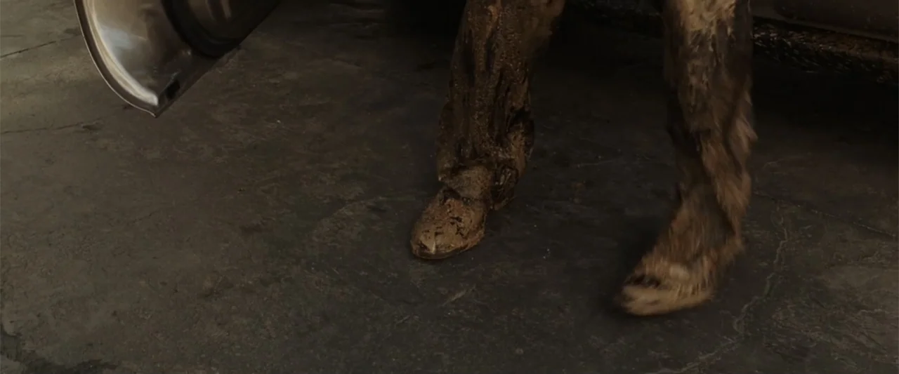 17 Again (2009) movie still: fullbody — A dark concrete ground at a gas station reflects minimal light near a car door. A person wearing mud-covered…