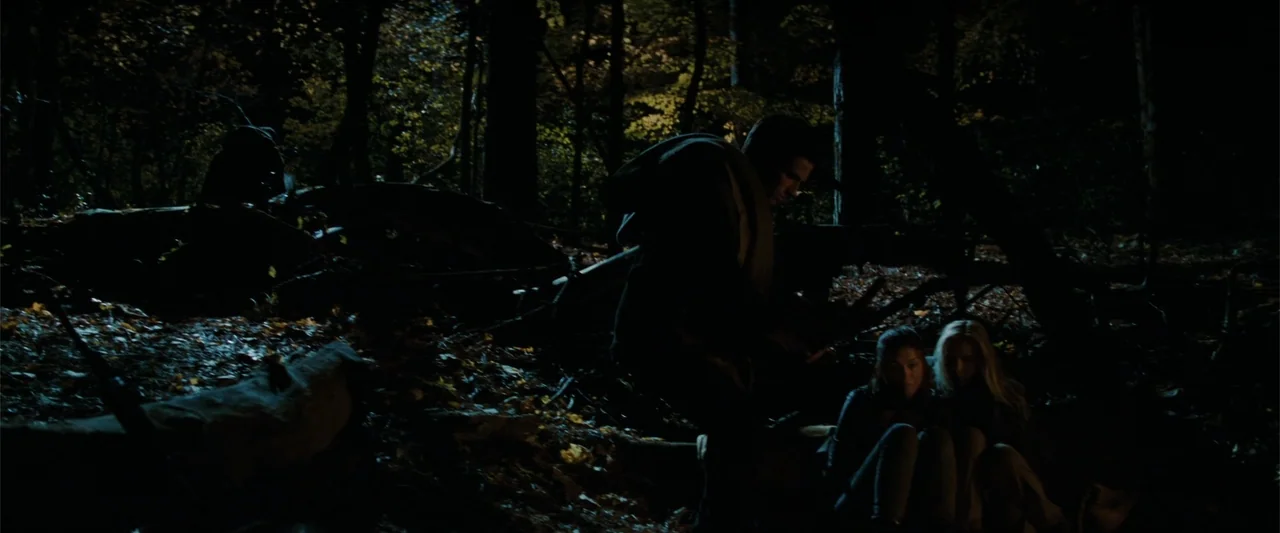 Red Dawn (2012) movie still: medium — A dark, dense woodland environment with scattered autumn leaves and shadowed silhouettes of trees. A young man…