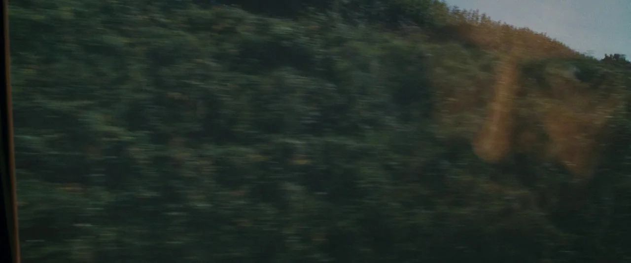 The Invisible Woman (2013) movie still: establishing — A dense hillside covered in lush green vegetation is seen through a window. Blurred trees…