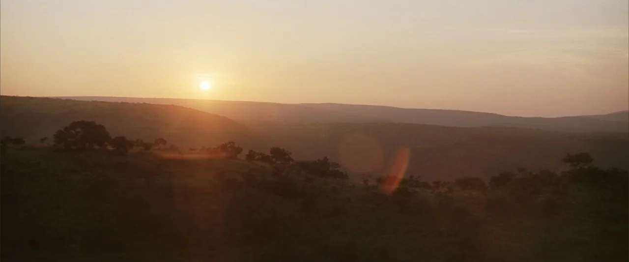 Blood Diamond (2006) movie still: establishing — A vast savanna landscape features rolling hills covered in sparse trees at sunset. The low sun…