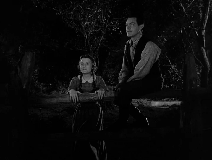 Young Mr. Lincoln (1939) movie still: fullbody — A dark night setting featuring two people positioned at a rustic wooden fence. The pair look into…