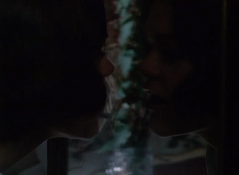 Fruit of Paradise (1970) movie still: closeup — A person looks at their own reflection in a dark vanity mirror at night. The face is mostly in…