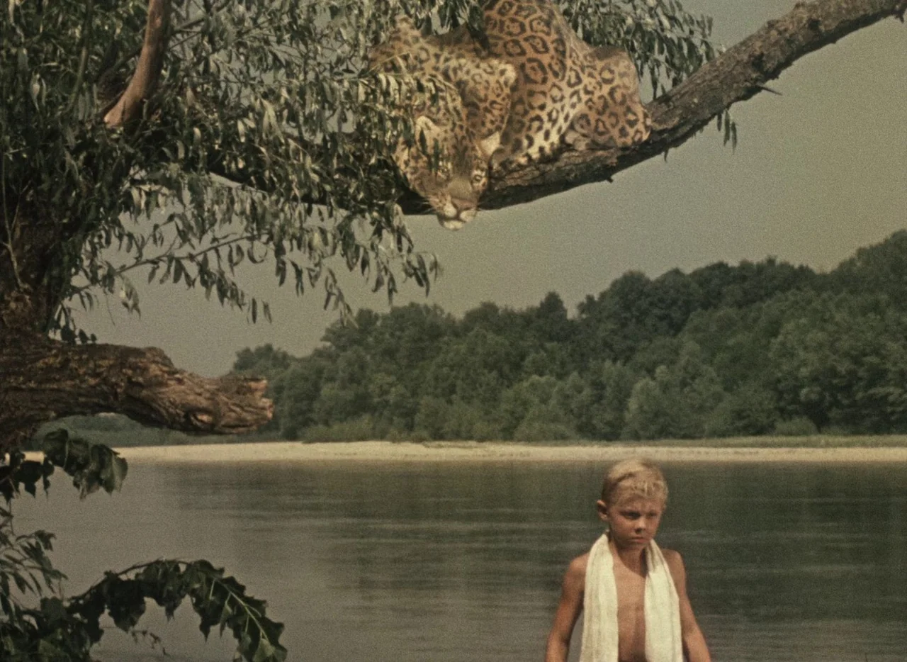 A Journey to the Beginning of Time (1955) movie still: wide — A quiet riverbank features a dense forest line and a sandy shore under overcast skies.…