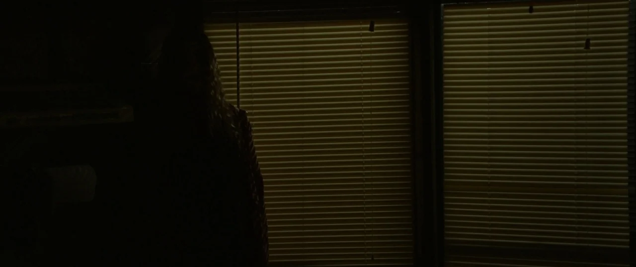 The Strangers: Prey at Night (2018) movie still: medium — A dark indoor space features a large window covered by horizontal blinds. A woman stands…