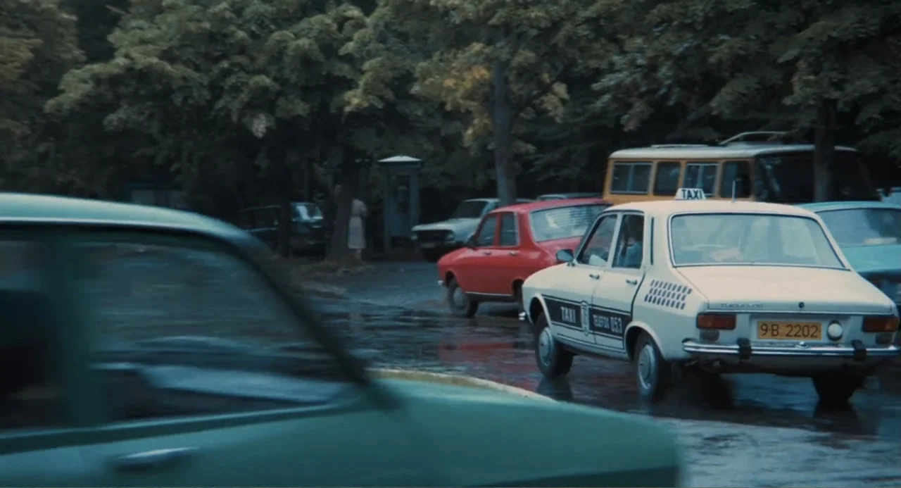 Do Not Expect Too Much from the End of the World (2023) movie still: wide — A wet street lined with dense trees and parked vintage cars. Several…