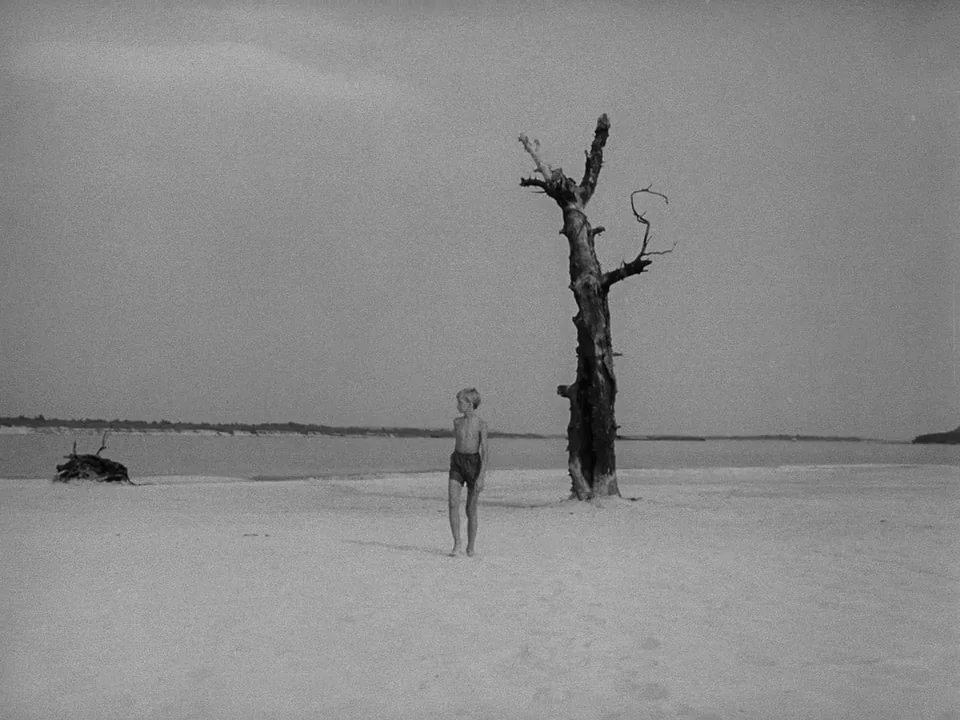 Ivan’s Childhood (1962) movie still: wide — A wide, desolate riverbank with light-colored sand and an overcast sky. A young boy walks slowly past a…