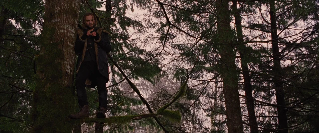The Twilight Saga: Breaking Dawn – Part 2 (2012) movie still: fullbody — A dense patch of pine trees with mossy trunks and sparse foliage. A man…