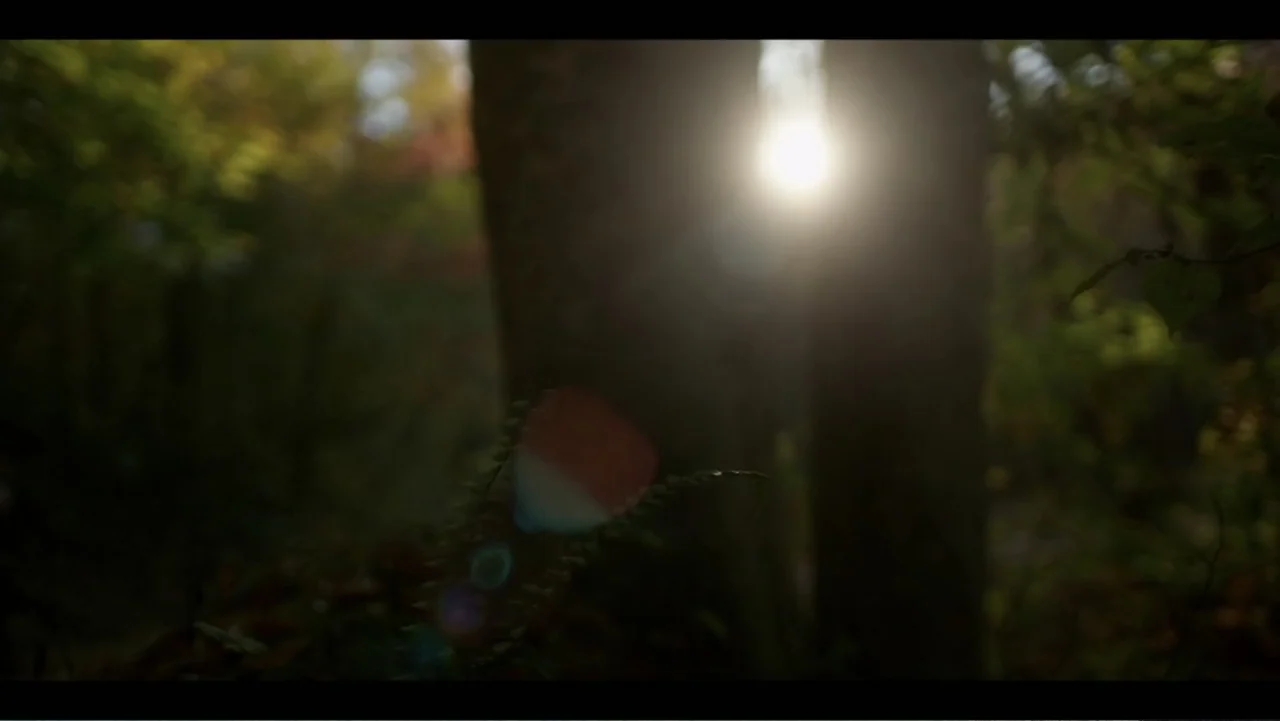 Diddy: The Making of a Bad Boy (2025) movie still: establishing — A dense forest floor is visible with thick dark tree trunks in the background.…
