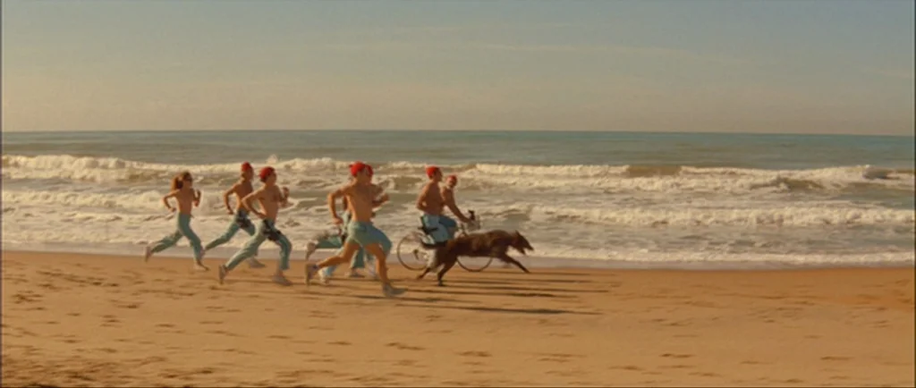 The Life Aquatic With Steve Zissou (2004) movie still: wide — A flat stretch of sand borders the ocean under a clear, pale sky. A group of…