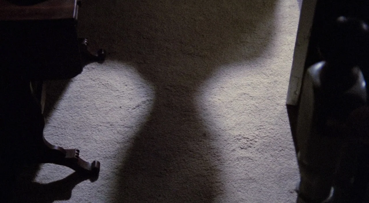 The Iguana with the Tongue of Fire (1971) movie still: establishing — A dark, carpeted floor is illuminated by two distinct pools of concentrated…
