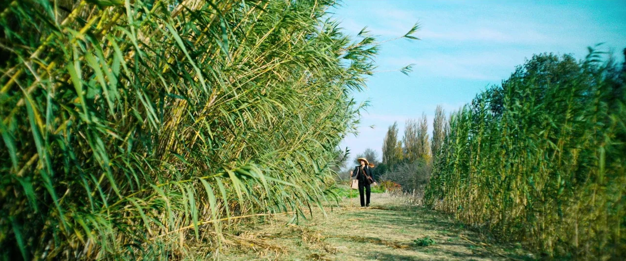 At Eternity’s Gate (2018) movie still: wide — A narrow dirt path is flanked by dense rows of tall, bright green reeds. A woman in a sun hat walks…