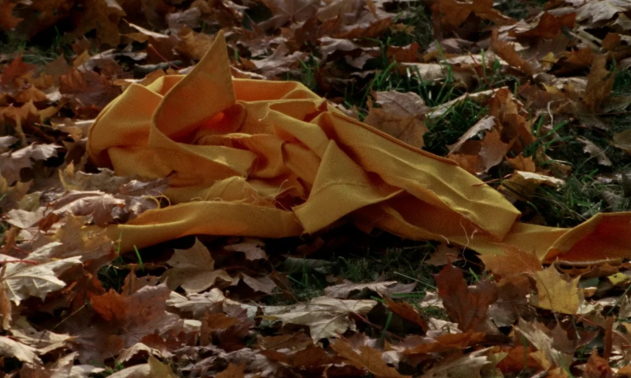 Thriller: A Cruel Picture (1973) movie still: closeup — A pile of golden brown autumn leaves covers a patch of grass in a park. A crumpled piece of…