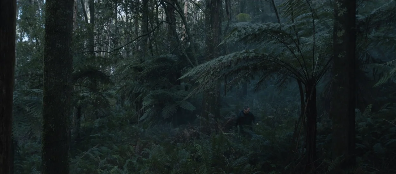 Force of Nature: The Dry 2 (2024) movie still: wide — A dense temperate rainforest features large tree trunks and thick clusters of ferns. A man in…