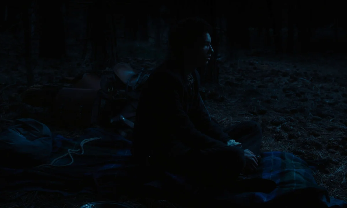 Slow West (2015) movie still: medium — A dark, wooded area at night with a single person seated on the ground. The subject rests on a plaid blanket…