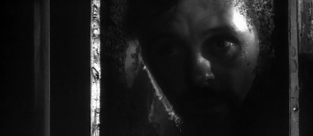 The Elephant Man (1980) movie still: closeup — A dark, cramped space defined by vertical wooden planks and narrow gaps. A man's face appears in the…