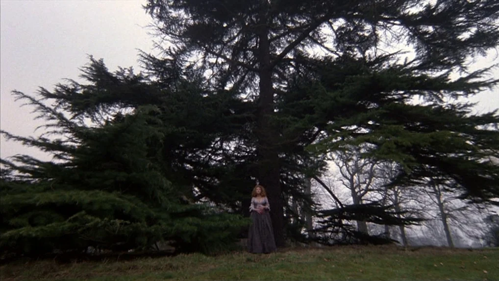 The Company of Wolves (1984) movie still: wide — A woman stands alone at the base of a massive, dark-needled conifer tree. Bare deciduous trees are…