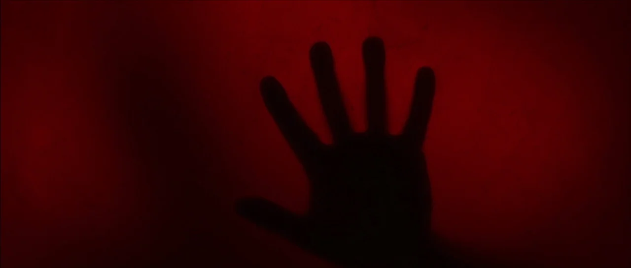Fear X (2003) movie still: closeup — A hand silhouette is pressed against a vibrant red, translucent backlit surface. The texture of the surface is…