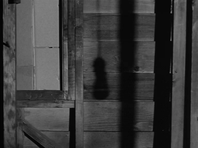 Stalag 17 (1953) movie still: closeup — A dark wooden wall with horizontal planks is illuminated by a single harsh light. A long, vertical shadow of…