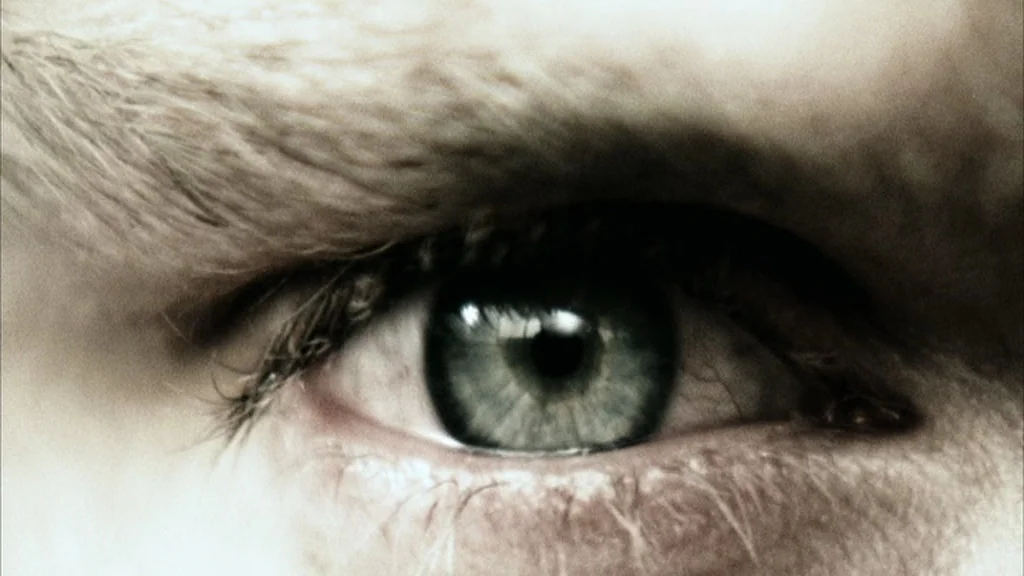 Everything Is Illuminated (2005) movie still: closeup — A extreme macro view of a single human eye and surrounding skin. The eye focuses ahead while…