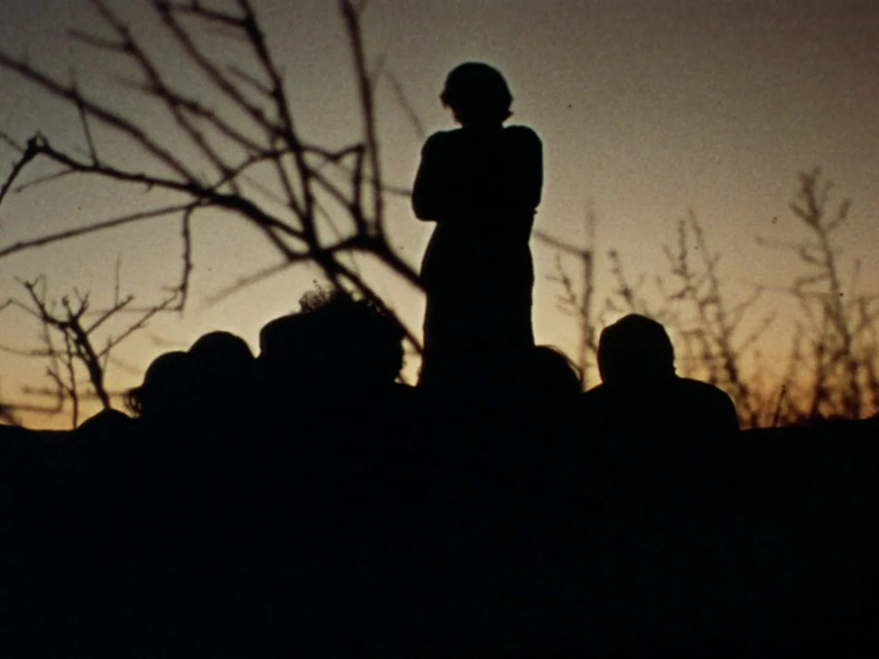 Punishment Park (1971) movie still: wide — An open field at dusk features silhouettes of leafless branches against a dimming sky. A small group of…