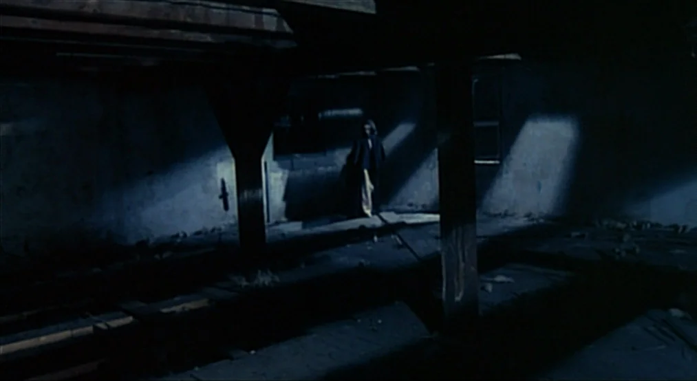Nosferatu the Vampyre (Nosferatu Phantom Der Nacht) (1979) movie still: wide — A dark, unfinished basement features wooden support beams and debris…