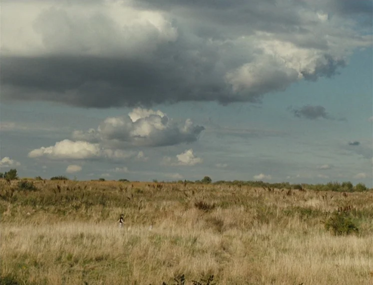 Fish Tank (2009) movie still: wide — A vast, open field of dry, tall grass stretches toward a horizon of distant trees. Large, heavy grey storm…