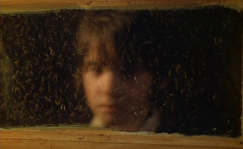 Spirit Of The Beehive (1973) movie still: closeup — A wooden observation frame contains a dense, swarming mass of honey bees. A young boy looks…