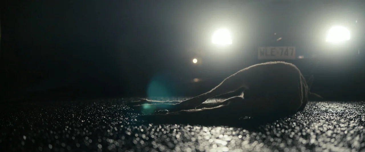 Talk to Me (2023) movie still: medium — A dark, wet asphalt road surface extends under the bright glare of approaching car headlights. An animal…