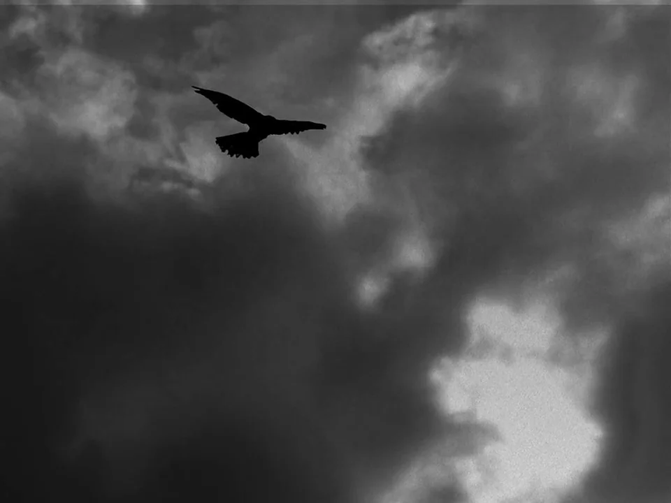 The Seventh Seal (1957) movie still: wide — A dense layer of dark, overcast clouds fills the sky during the day. A single bird in silhouette flies…