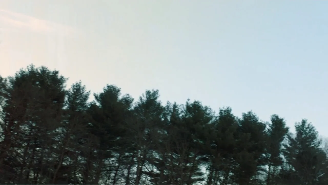 What Happened at Fells Acres? (2023) movie still: establishing — A dense line of evergreen pine trees stands against a pale twilight sky. The trees…