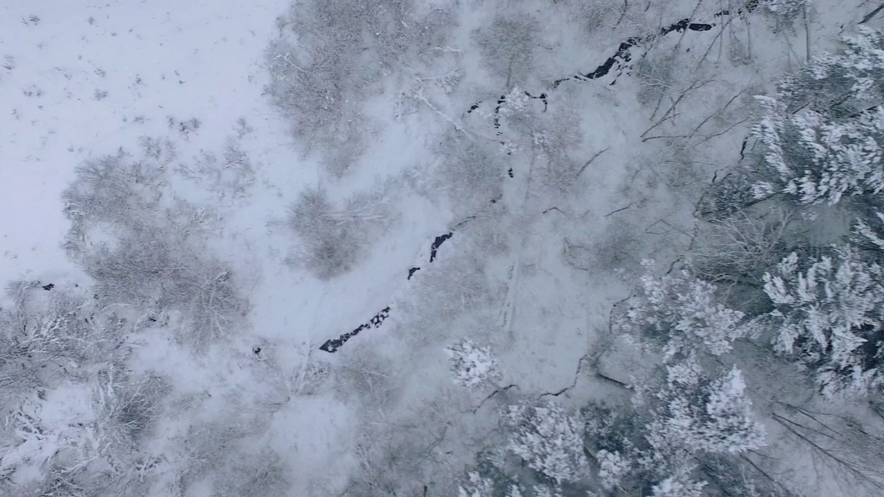 Snowbound (2017) movie still: establishing — A snow-covered forest area is viewed from directly overhead. A small dark winding stream cuts through…