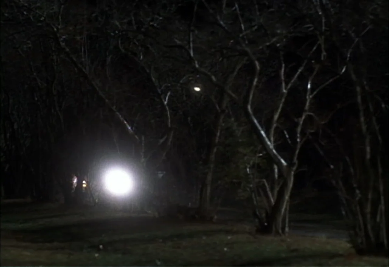 Ambushed (1998) movie still: wide — A dark night scene shows several bare deciduous trees in a public park area. A singular bright light source…