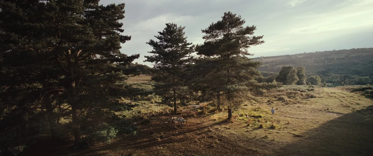 Christopher Robin (2018) movie still: wide — A vast, open field with sparse pine trees and rolling hills in the distance. The area is filled with…