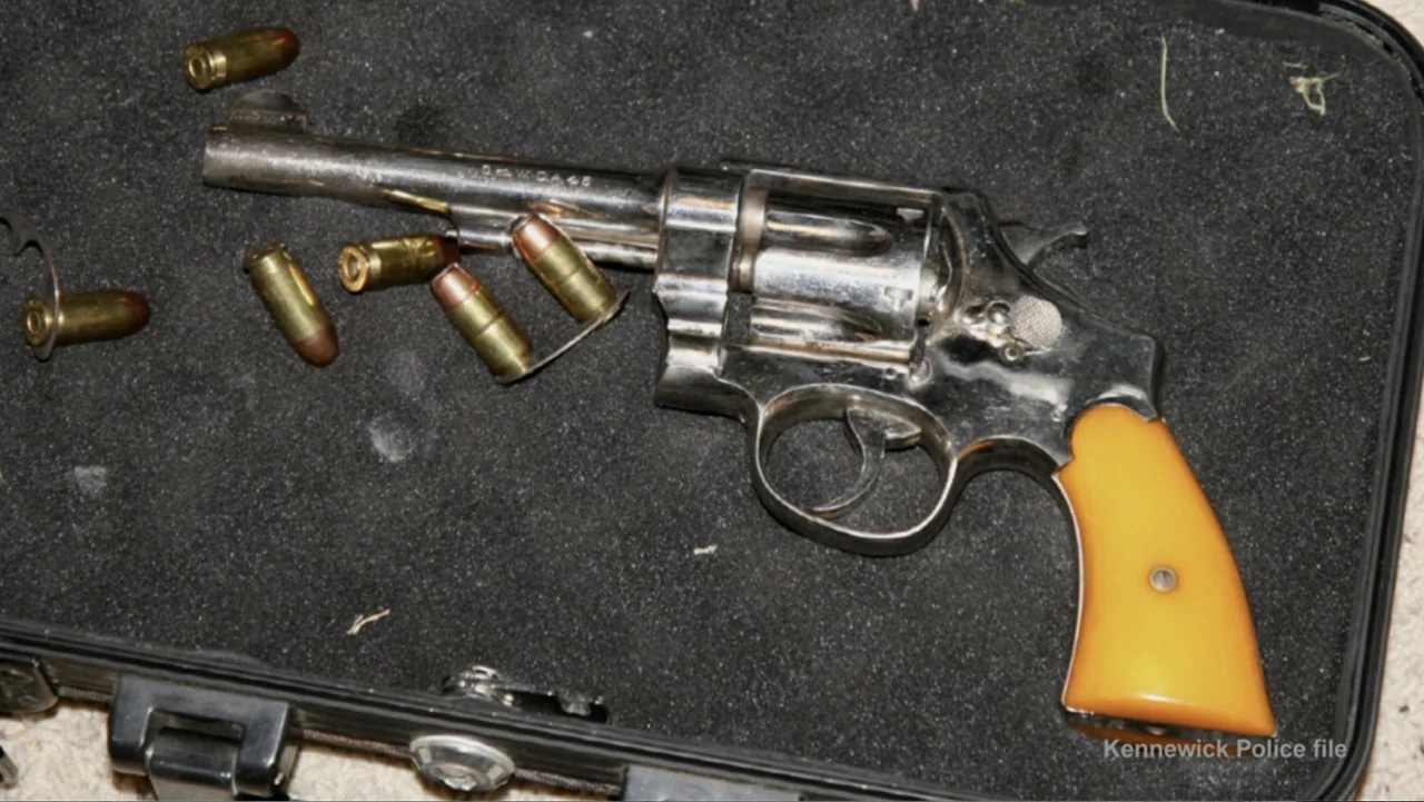Requiem for the Dead: American Spring 2014 (2015) movie still: closeup — A silver revolver with a yellow grip lies inside a black foam-lined case.…