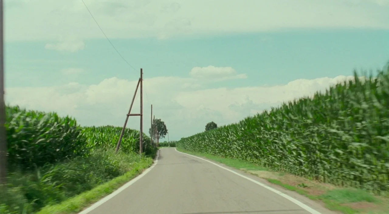 Call Me By Your Name (2017) movie still: establishing — A narrow asphalt road cuts through tall green cornfields under an overcast pale sky. Wooden…