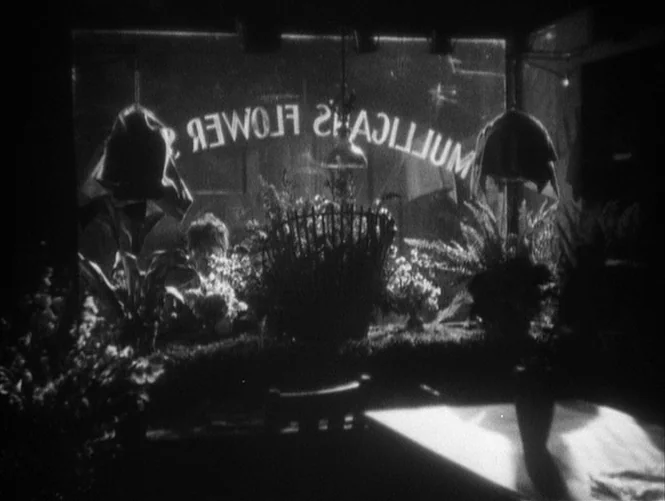 Underworld (1927) movie still: wide — A flower shop window at night displays potted plants and flowers behind glass. The text Mulligans Flowers is…