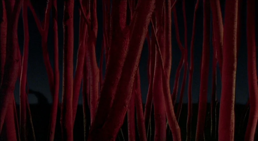 Mishima: A Life in Four Chapters (1985) movie still: establishing — A dense grouping of vertical tree trunks is illuminated by a deep red light. The…
