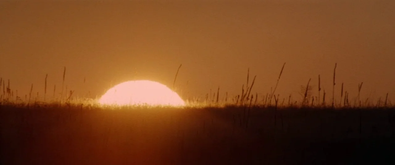 Dances With Wolves (1990) movie still: establishing — A flat field with thin stalks of dried grass rises against a bright sun. The sun sits on the…