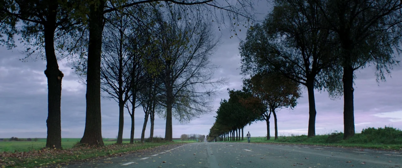 Raw (2016) movie still: wide — A long paved road flanked by tall, mature deciduous trees extends toward the horizon. A lone individual walks away…