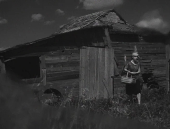 Tales from the Gimli Hospital (1988) movie still: fullbody — A rustic weathered wooden shed sits in a grassy field under a cloudy sky. A woman walks…